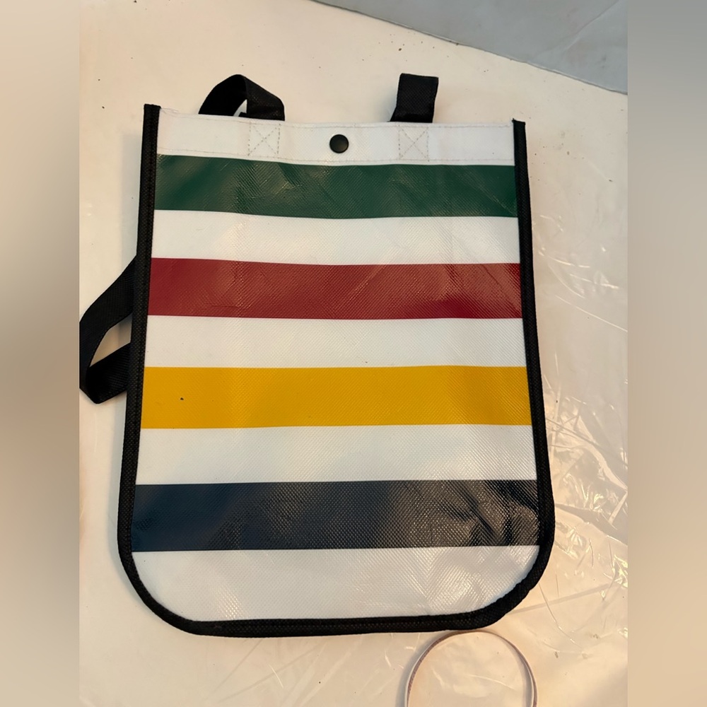 NEW Hudson’s Bay Company - HBC Multistripe Reusable Lunch Bag (Small)